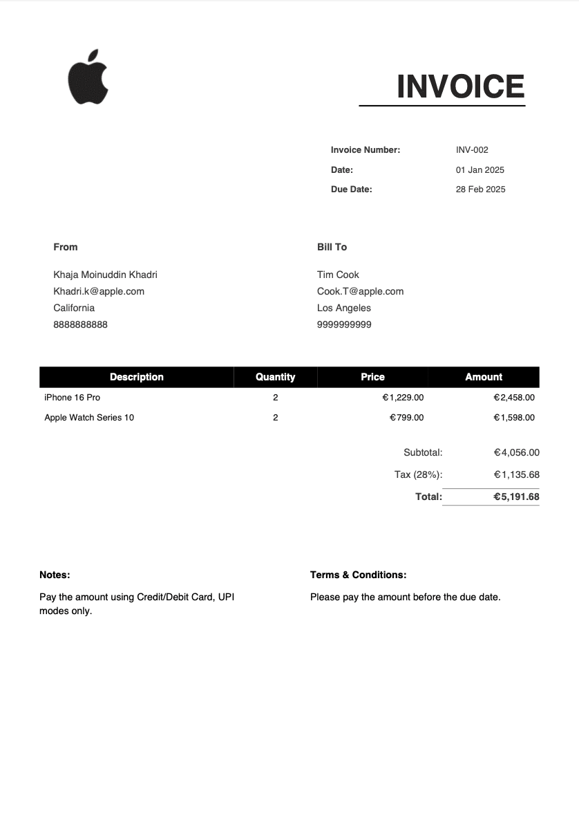 Professional Invoice Template